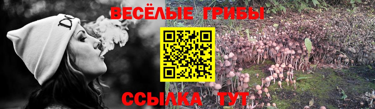 Сосновый Бор  Псилоцибиновые грибы Magic Shrooms  Вход с VPN  где купить   Галлюциногенные грибы прущие грибы 